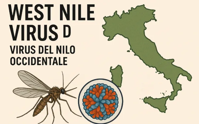 west nile virus - virus del nilo occidentale